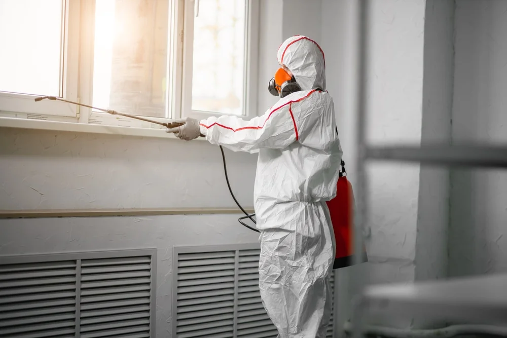 Professional mold remediation services in La Crescenta, CA
